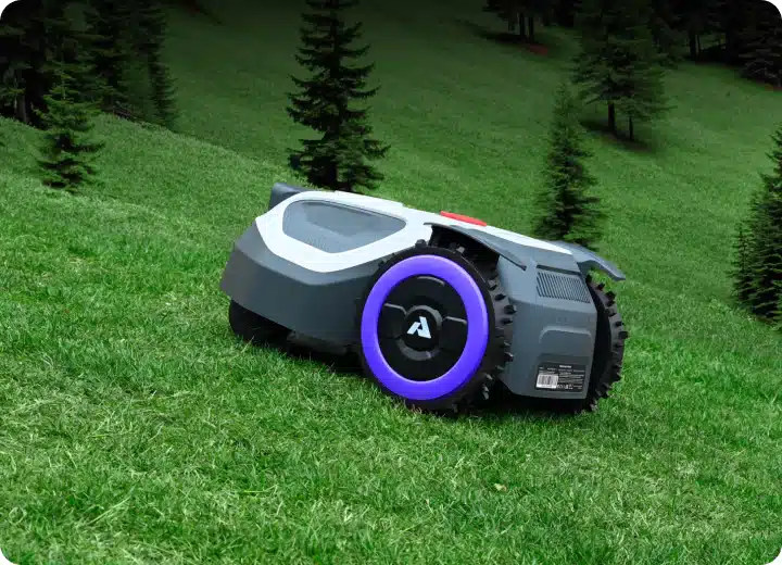 Anthbot M5 robot